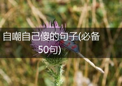 自嘲自己傻的句子(必备50句)