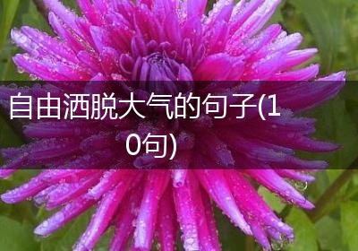 自由洒脱大气的句子(10句)