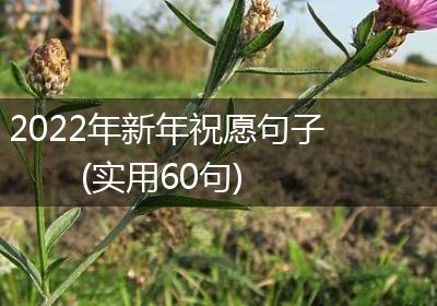 2022年新年祝愿句子(实用60句)