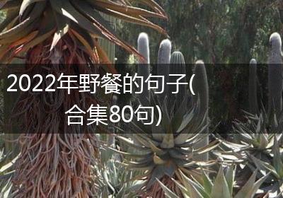 2022年野餐的句子(合集80句)