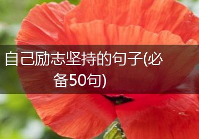 自己励志坚持的句子(必备50句)