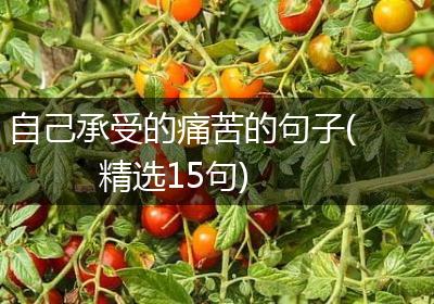 自己承受的痛苦的句子(精选15句)