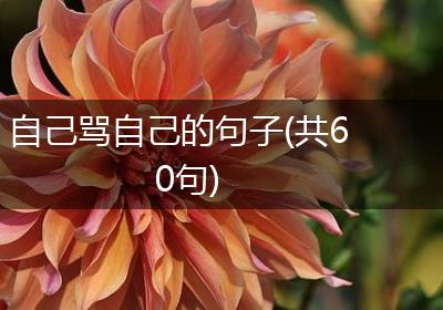 自己骂自己的句子(共60句)