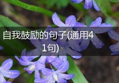 自我鼓励的句子(通用41句)