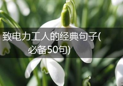 致电力工人的经典句子(必备50句)