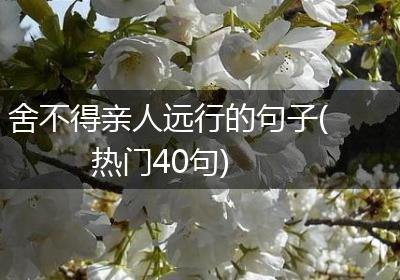 舍不得亲人远行的句子(热门40句)