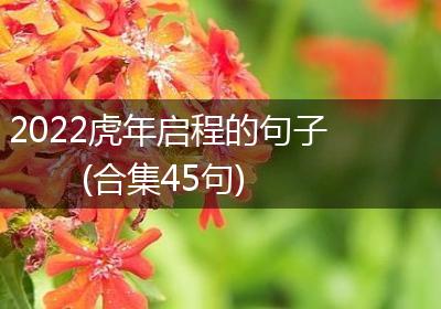 2022虎年启程的句子(合集45句)