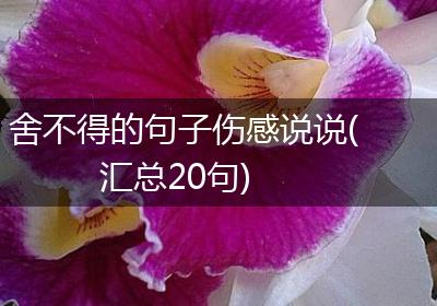 舍不得的句子伤感说说(汇总20句)