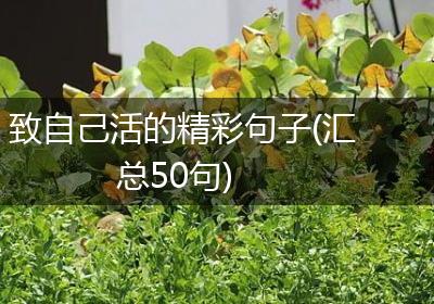 致自己活的精彩句子(汇总50句)