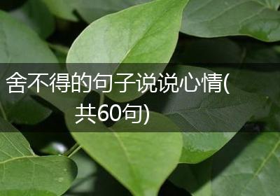 舍不得的句子说说心情(共60句)