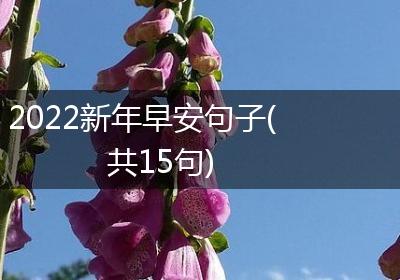 2022新年早安句子(共15句)