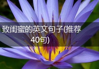 致闺蜜的英文句子(推荐40句)