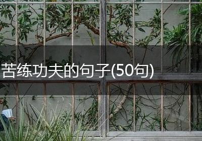 苦练功夫的句子(50句)