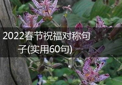 2022春节祝福对称句子(实用60句)