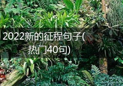 2022新的征程句子(热门40句)