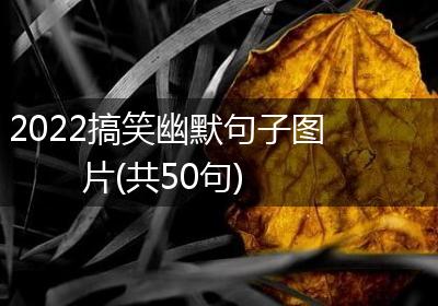 2022搞笑幽默句子图片(共50句)