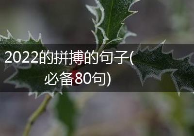 2022的拼搏的句子(必备80句)