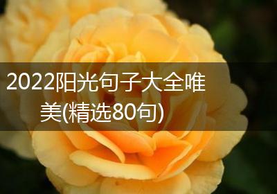 2022阳光句子大全唯美(精选80句)