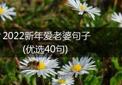 2022新年爱老婆句子(优选40句)