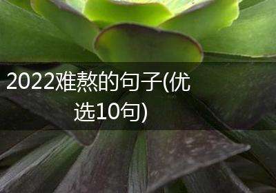 2022难熬的句子(优选10句)