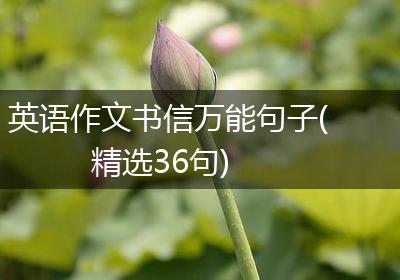 英语作文书信万能句子(精选36句)