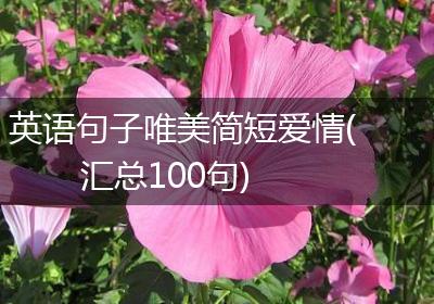 英语句子唯美简短爱情(汇总100句)
