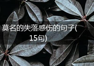 莫名的失落感伤的句子(15句)