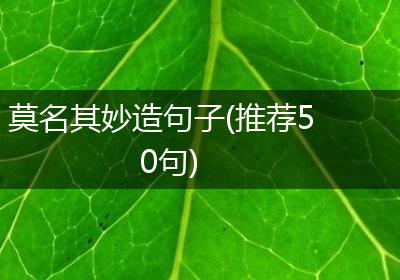 莫名其妙造句子(推荐50句)