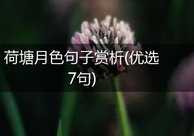 荷塘月色句子赏析(优选7句)
