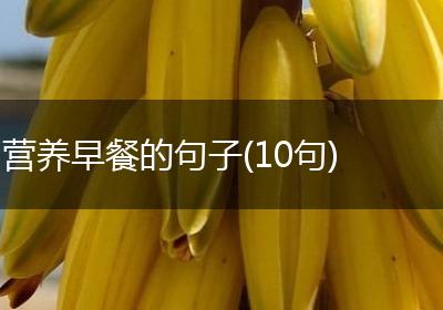 营养早餐的句子(10句)