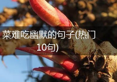 菜难吃幽默的句子(热门10句)