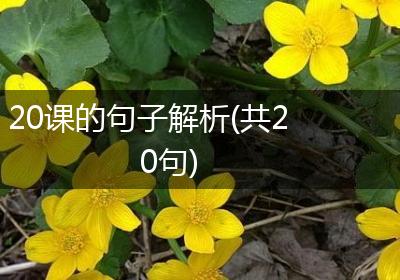 20课的句子解析(共20句)