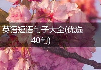 英语短语句子大全(优选40句)