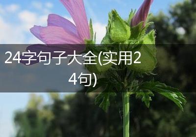 24字句子大全(实用24句)