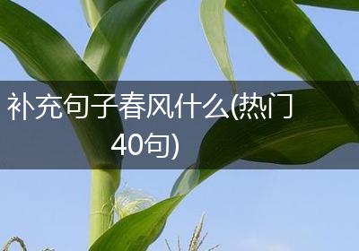 补充句子春风什么(热门40句)