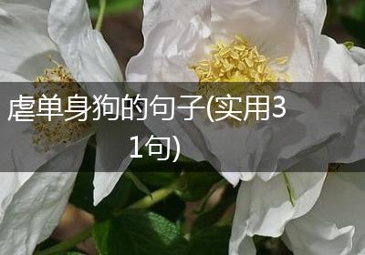 虐单身狗的句子(实用31句)