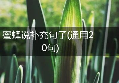 蜜蜂说补充句子(通用20句)