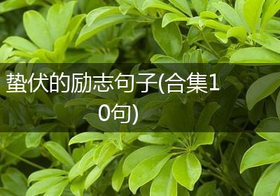 蛰伏的励志句子(合集10句)