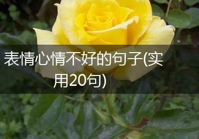 表情心情不好的句子(实用20句)