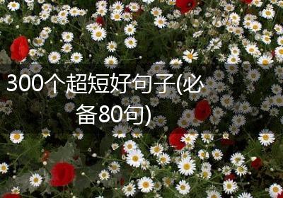 300个超短好句子(必备80句)