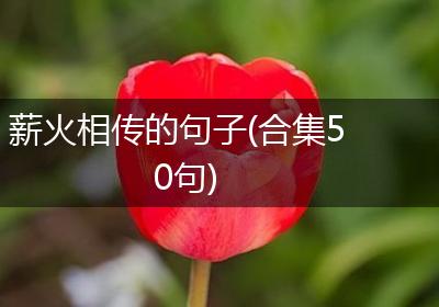 薪火相传的句子(合集50句)