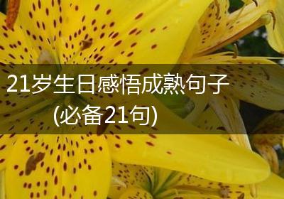 21岁生日感悟成熟句子(必备21句)