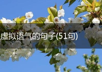 虚拟语气的句子(51句)