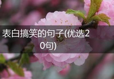 表白搞笑的句子(优选20句)