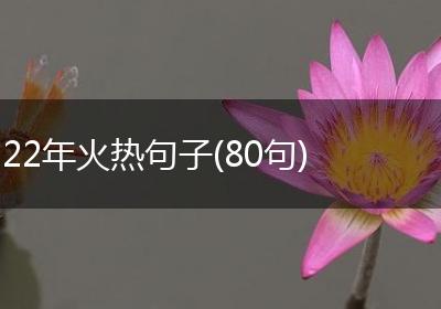 22年火热句子(80句)