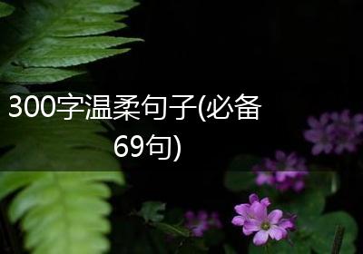 300字温柔句子(必备69句)