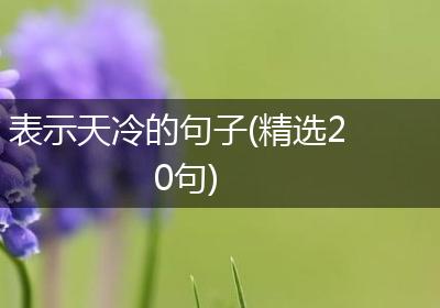 表示天冷的句子(精选20句)