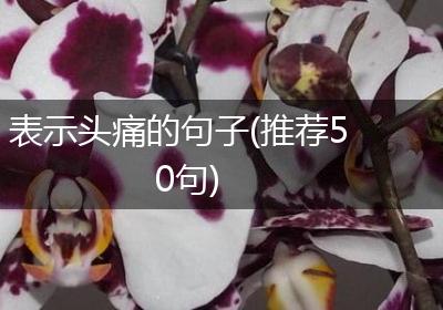 表示头痛的句子(推荐50句)