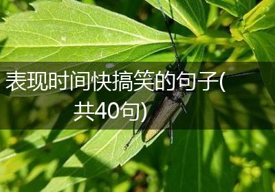 表现时间快搞笑的句子(共40句)