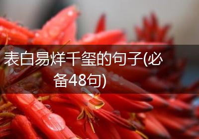 表白易烊千玺的句子(必备48句)
